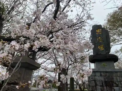 美奈宜神社(福岡県)