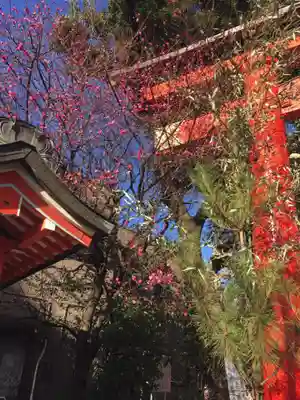 馬橋稲荷神社(東京都)