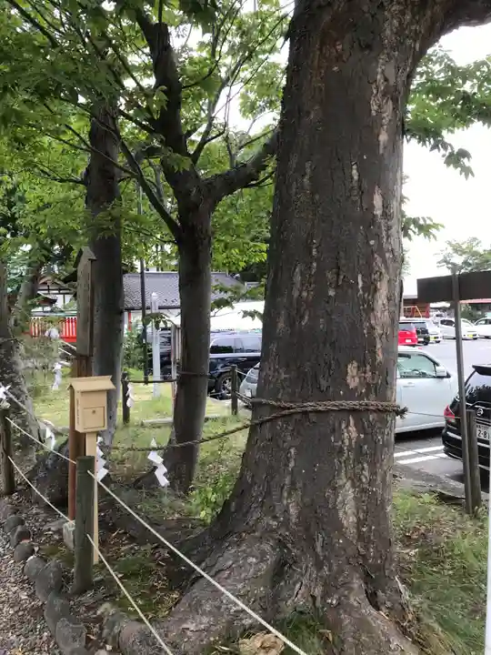 生島足島神社の自然