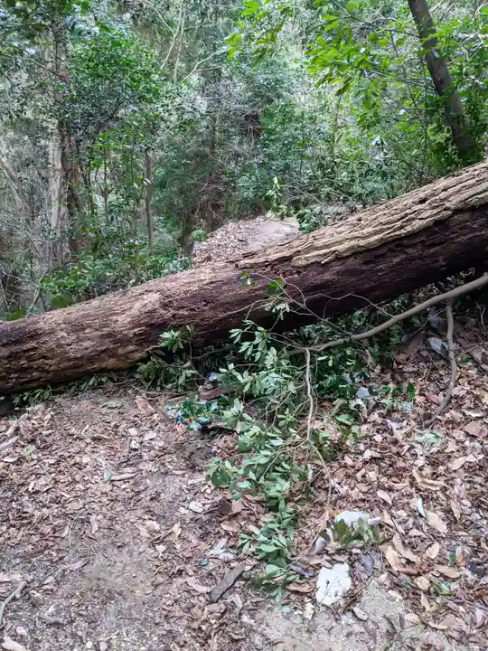 猿投神社の周辺