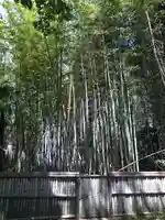 五流尊瀧院の自然