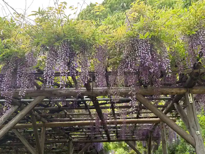 亀戸天神社(東京都)