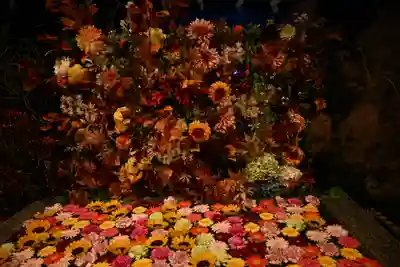 金蛇水神社(宮城県)