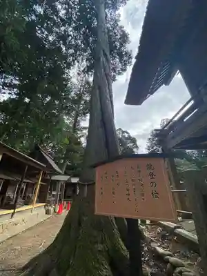 豊受大神社(京都府)