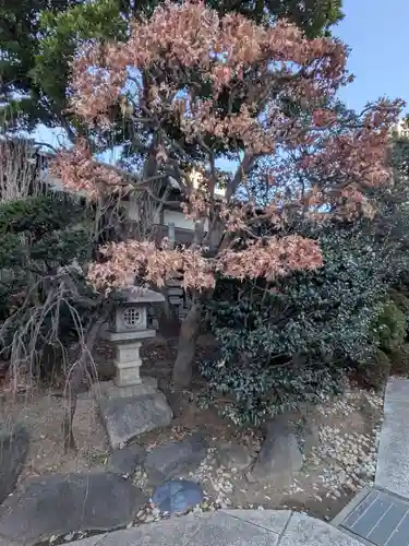 不動院(東京都)