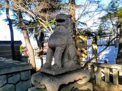 棚尾神社（八柱神社境外社）の狛犬