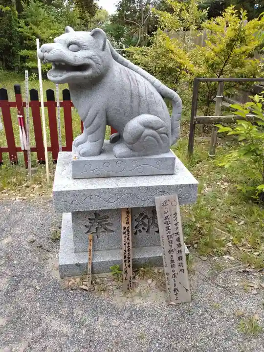 大江神社の狛犬