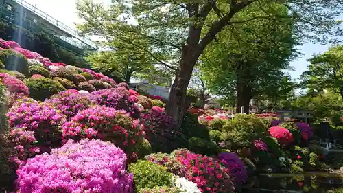 根津神社の庭園