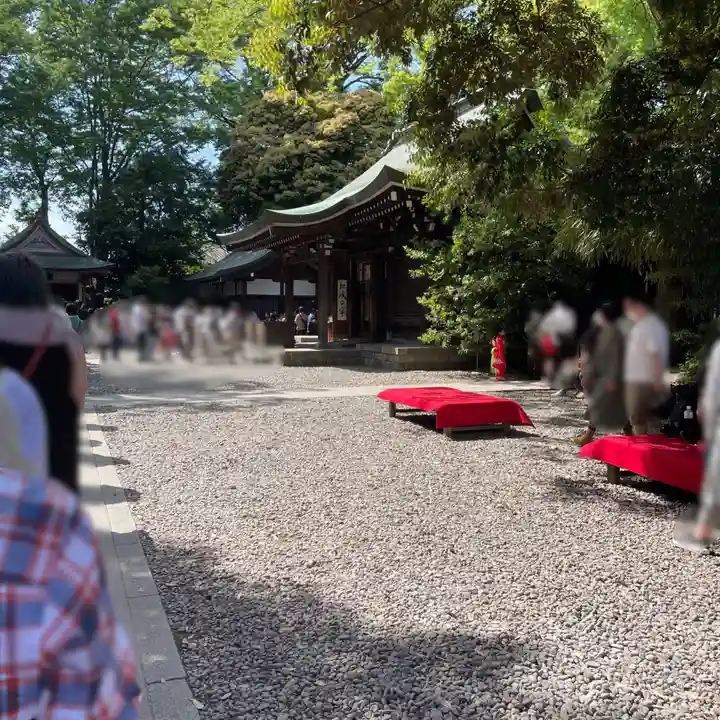 川越氷川神社(埼玉県)