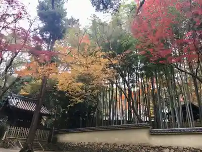 禅昌寺の山門・神門
