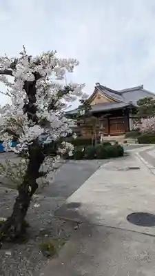 妙蓮寺(京都府)