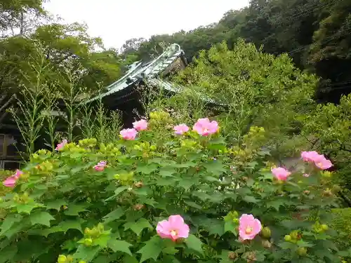 海蔵寺の庭園