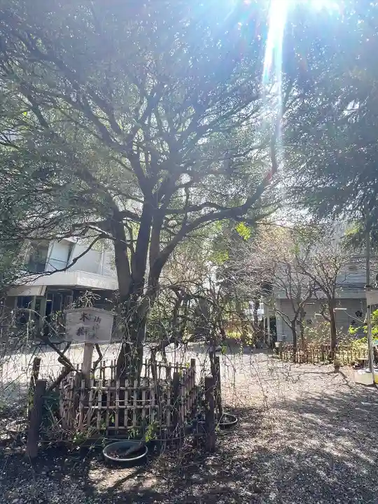 牛天神北野神社(東京都)