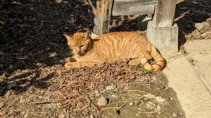 養源院(京都府)