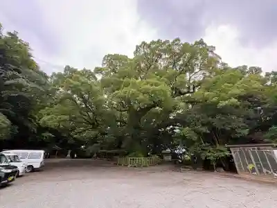 高良大社(福岡県)