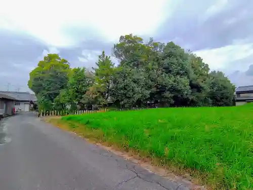 八幡社（下津）の自然