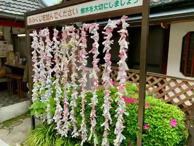 仙台大神宮のおみくじ