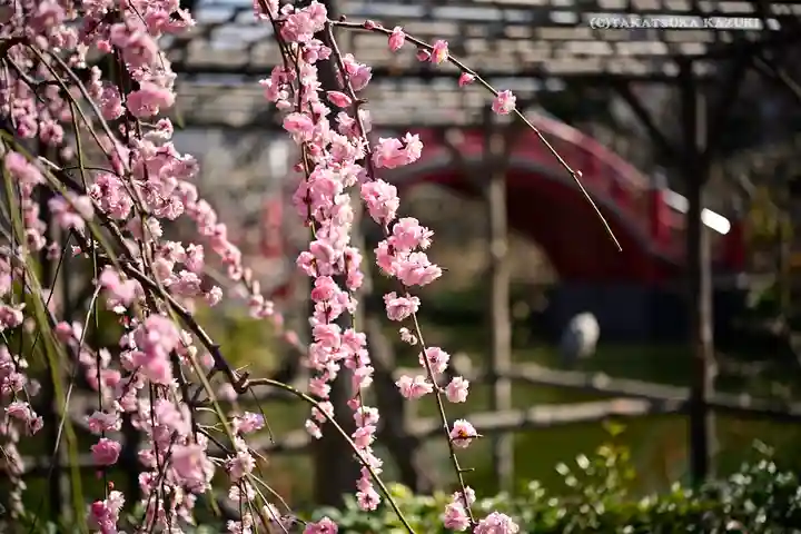 亀戸天神社の庭園