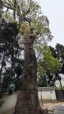 川口天満宮(京都府)