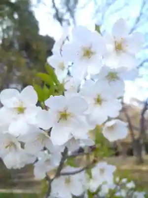 足高神社の自然