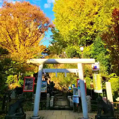 鳩森八幡神社(東京都)