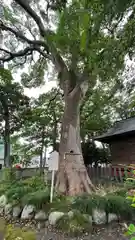 横割八幡宮(静岡県)