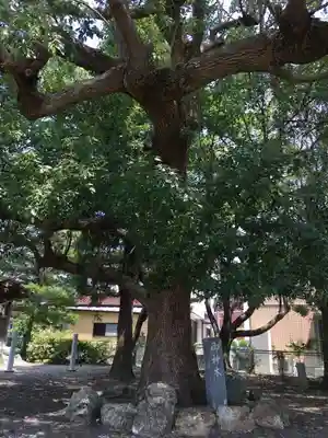 高貴神社のその他建物