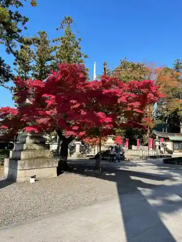 多賀大社(滋賀県)