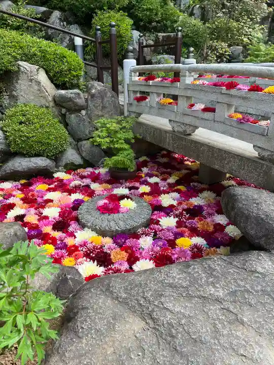 岡寺(龍蓋寺)(奈良県)