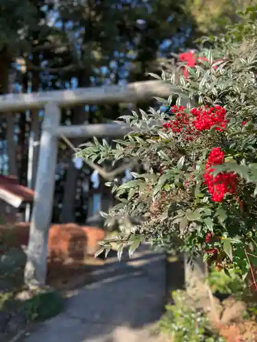 笠石神社(栃木県)