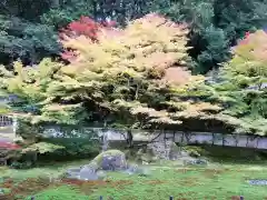 宗鏡寺の庭園