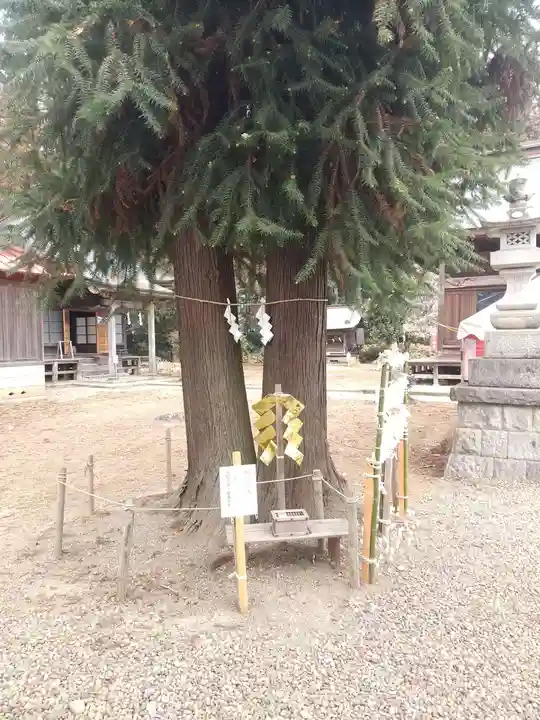 長沼八幡宮(栃木県)