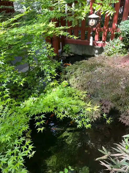 秩父神社(埼玉県)