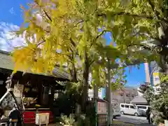 波除神社（波除稲荷神社）の建物その他