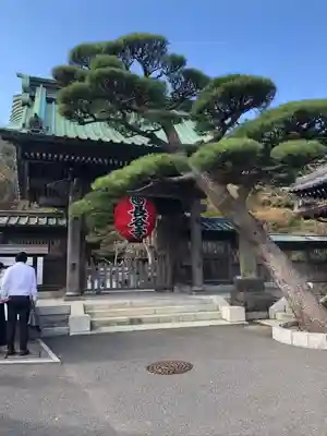 長谷寺の山門・神門