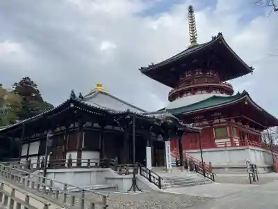 成田山醫王殿(千葉県)