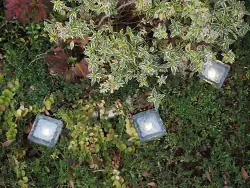 天王山 安楽寺(福井県)