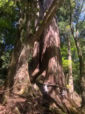 貴船神社(京都府)