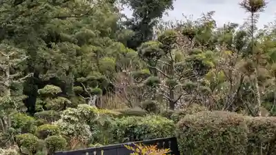 靈山寺（霊山寺）(大阪府)