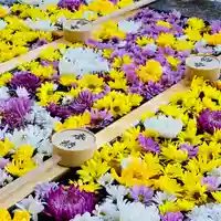 土津神社|こどもと出世の神さまの手水舎