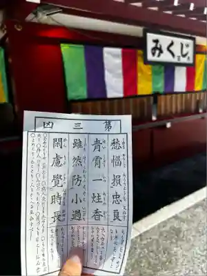 浅草寺のおみくじ