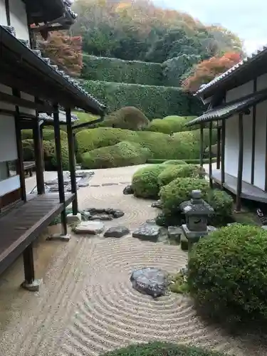 頼久寺の庭園