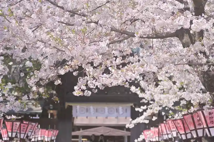 三嶋大社(静岡県)