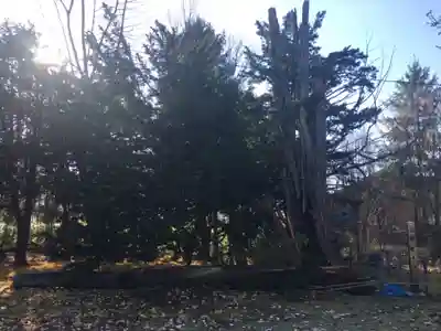 砂川神社(北海道)
