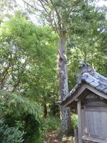 高松神社の自然