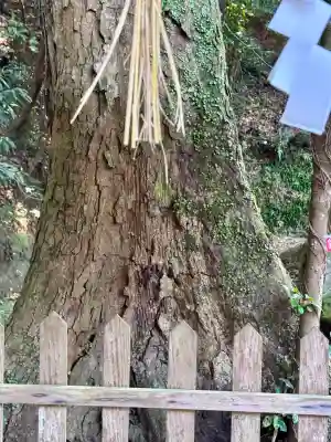 西寒多神社(大分県)