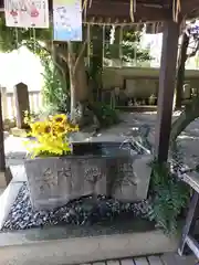 柏諏訪神社(千葉県)