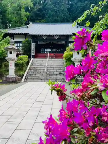 出世観音 養老山　立國寺(千葉県)