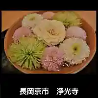 浄光寺(京都府)