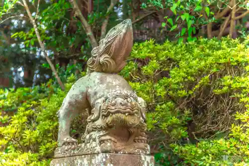 宇那禰神社の狛犬